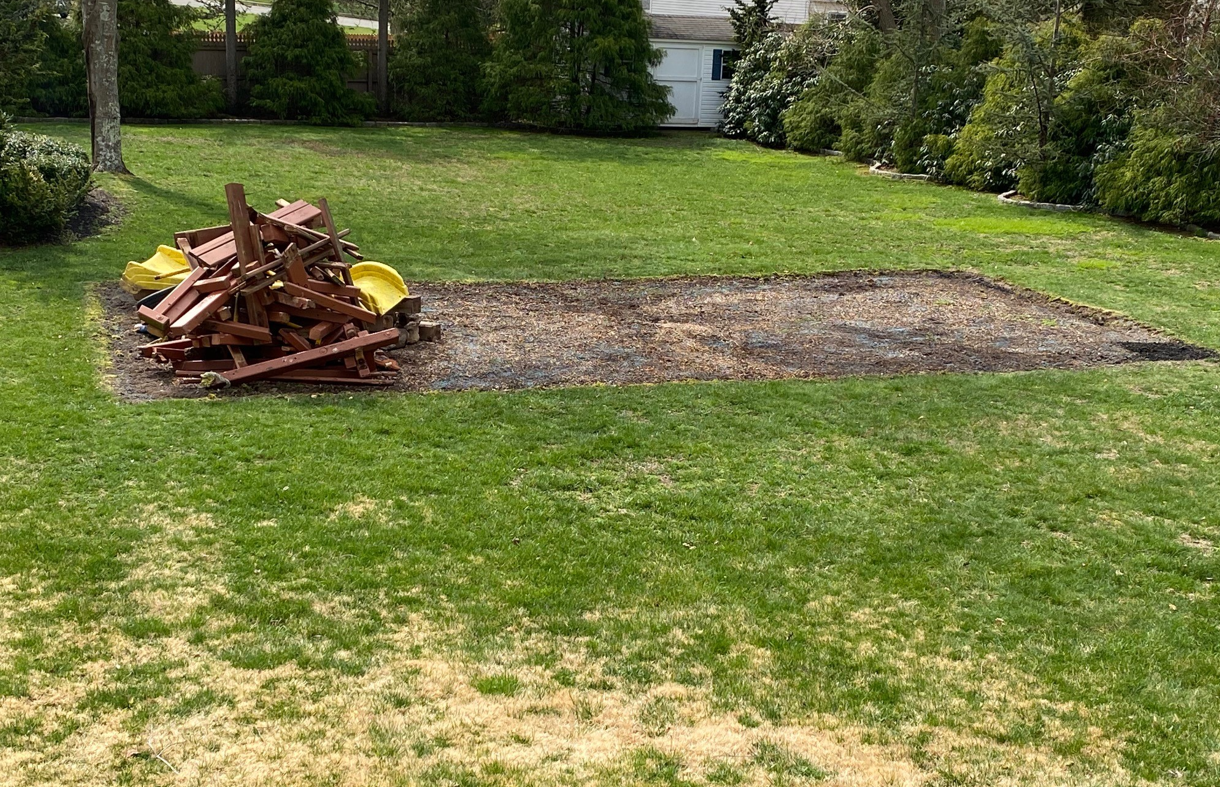 Grass Seeding Kentucky Bluegrass