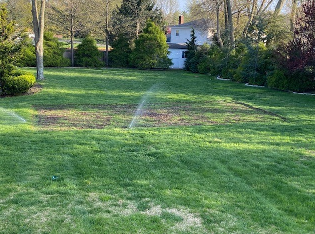 Lawn Patch Repair Kentucky