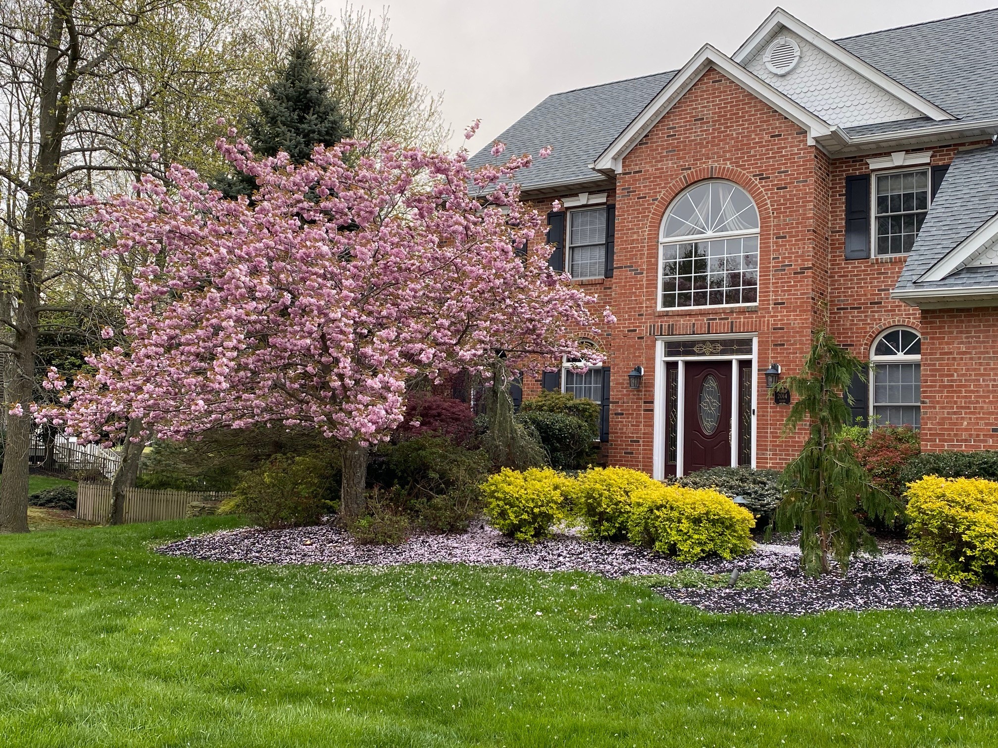 Cherry Blossom Petal Mulch