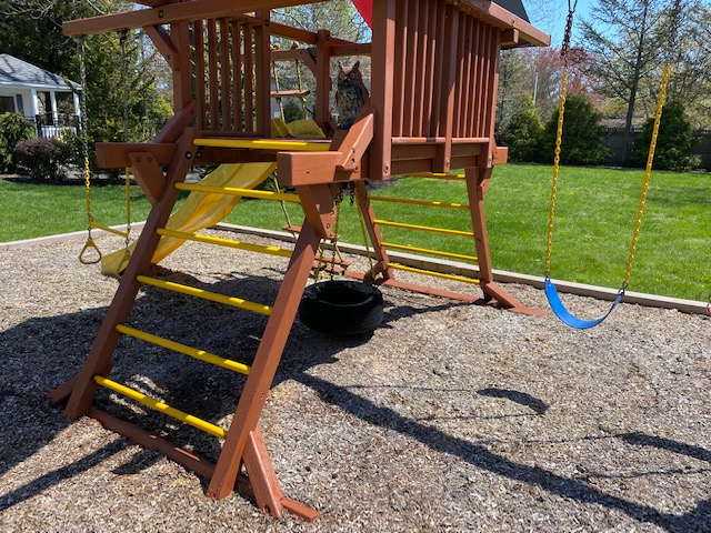 Redwood Swing Set Maintenance