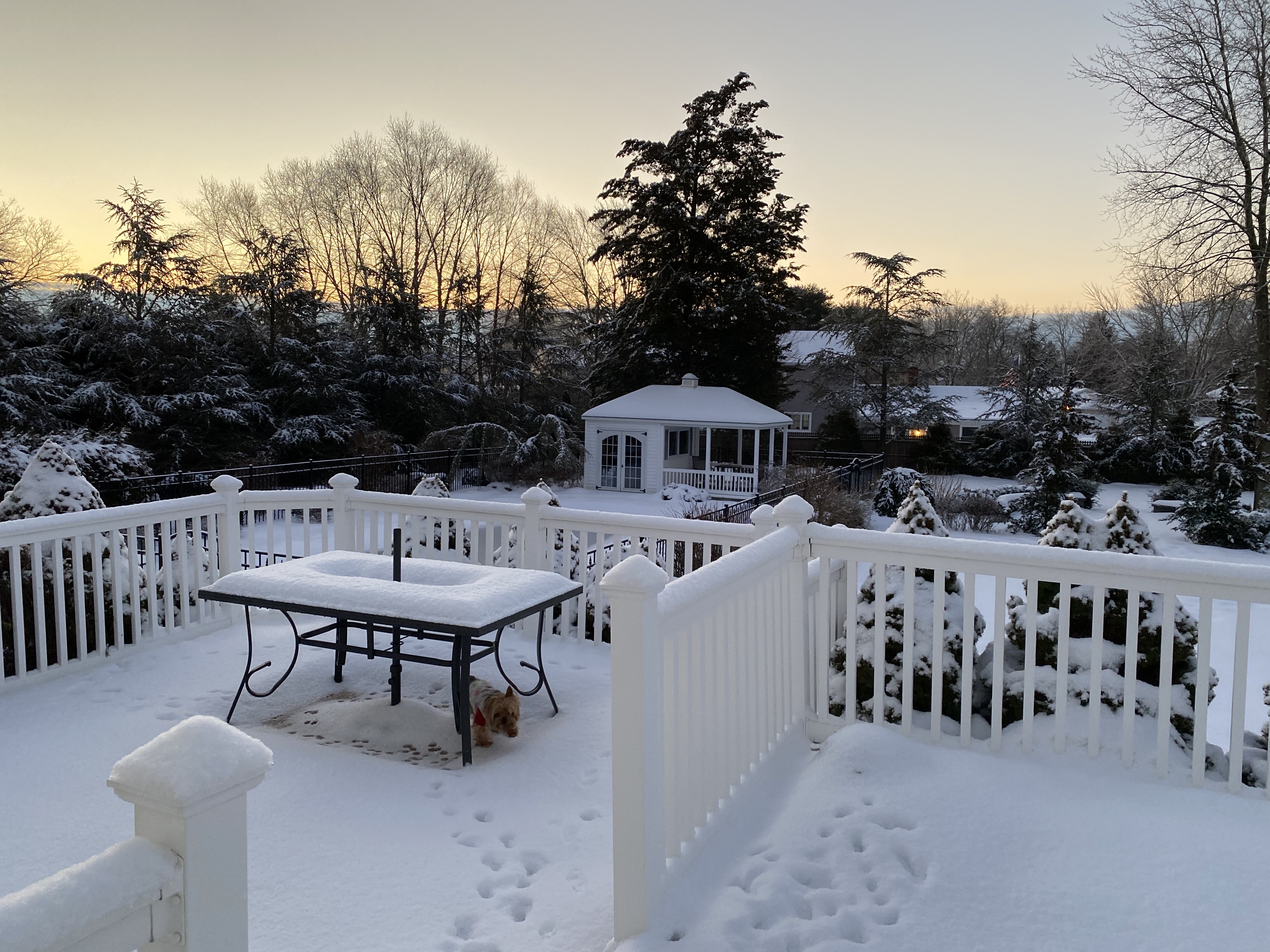 Winter Pool Landscaping