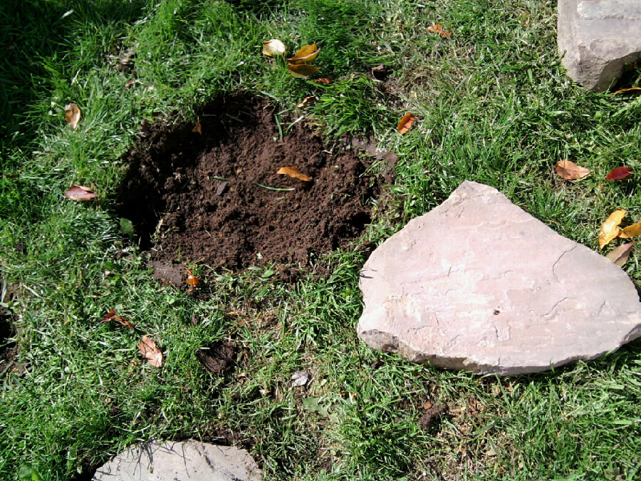 Flagstone Preparation