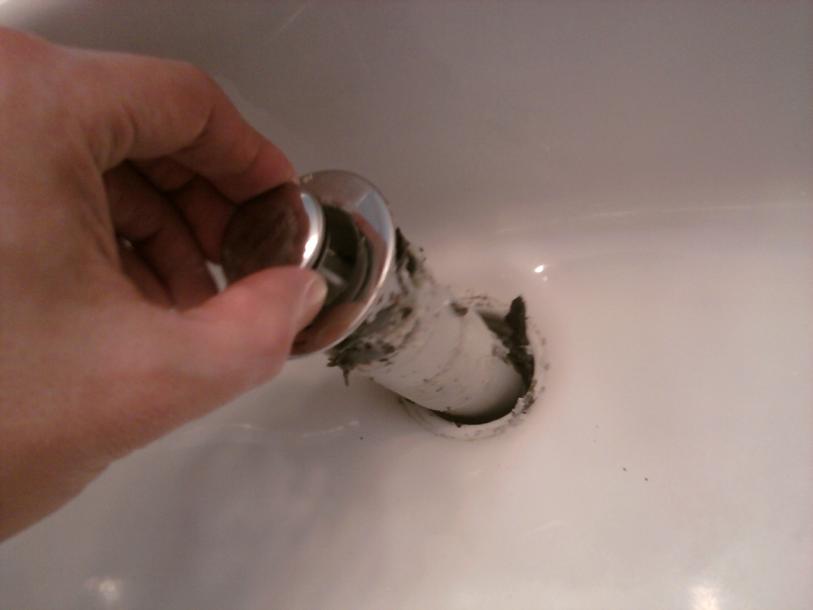Removing the Drain Removing the Sink Drain