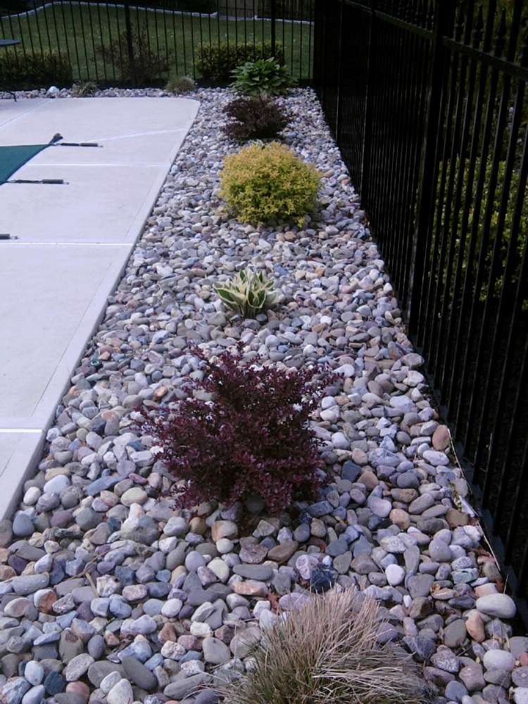 Refreshing a Swimming Pool Landscape - All About The House