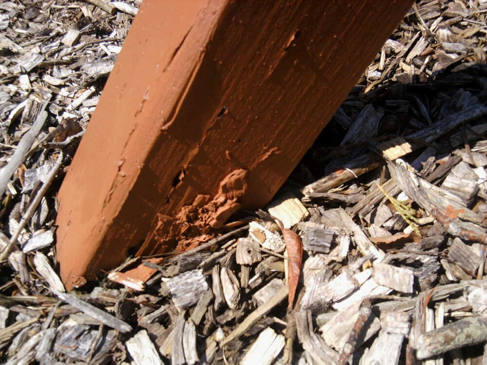 Redwood Leg Base at Ground Level