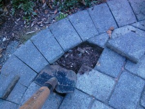 Paver Walkway Burrow Gravel Fill