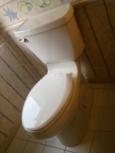 Final Bathroom Toilet Replacement Installation