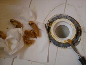 Removing the Old Toilet Wax Seal Wax Ring