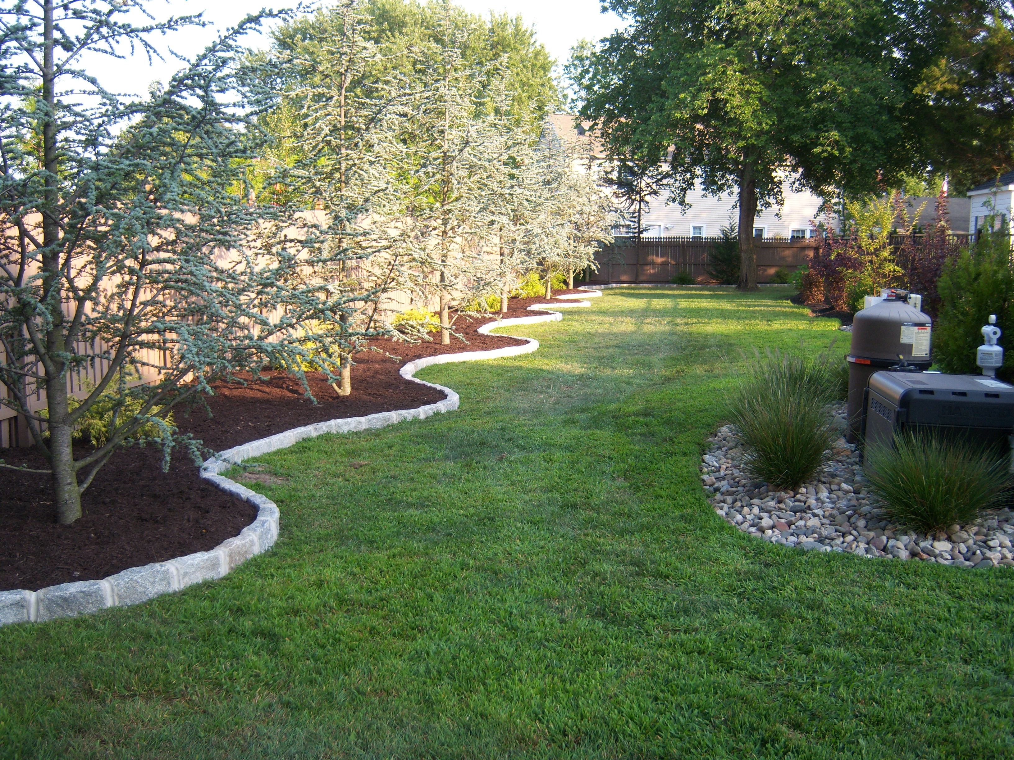 Blue Atlas Cedars and Mulch