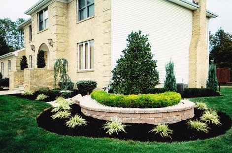 Black Dyed Mulch in Landscape Bed