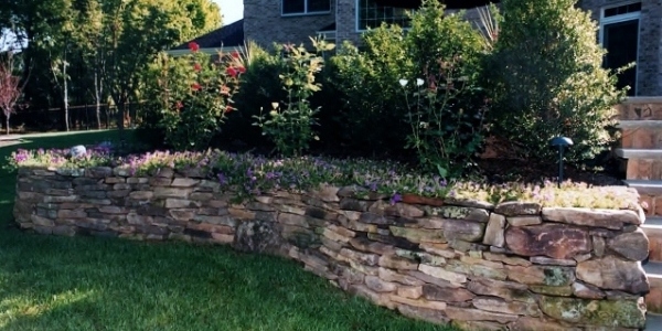 5 Easy Ways to Bring Your Landscape Back to Life
