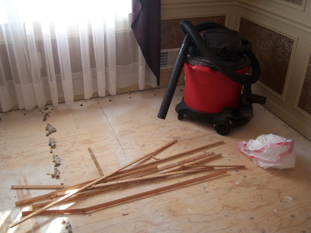 Shop Vacuum for Subfloor Clean-Up