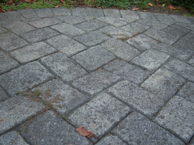 Collapsing Paver Walkway