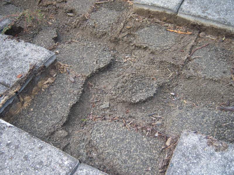 Missing Paver Walkway Stone Dust and Soil