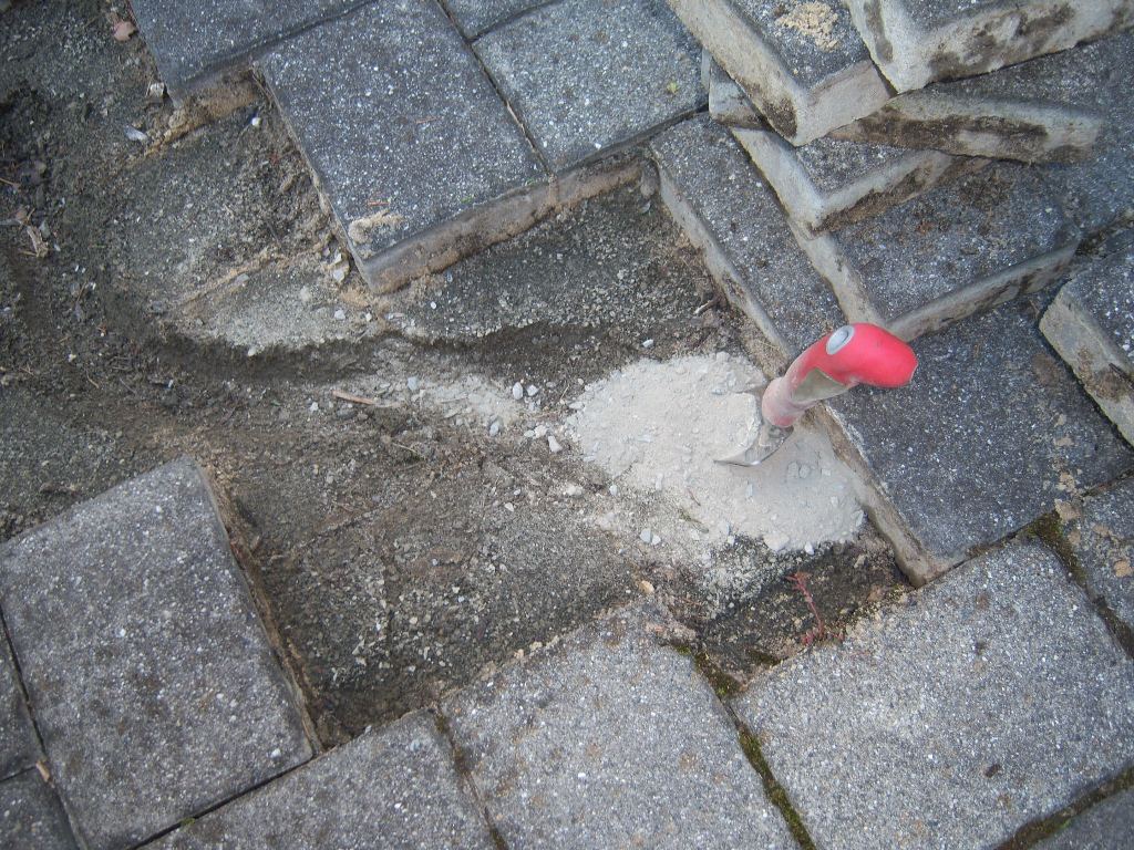 Paver Burrowing Concrete Backfill