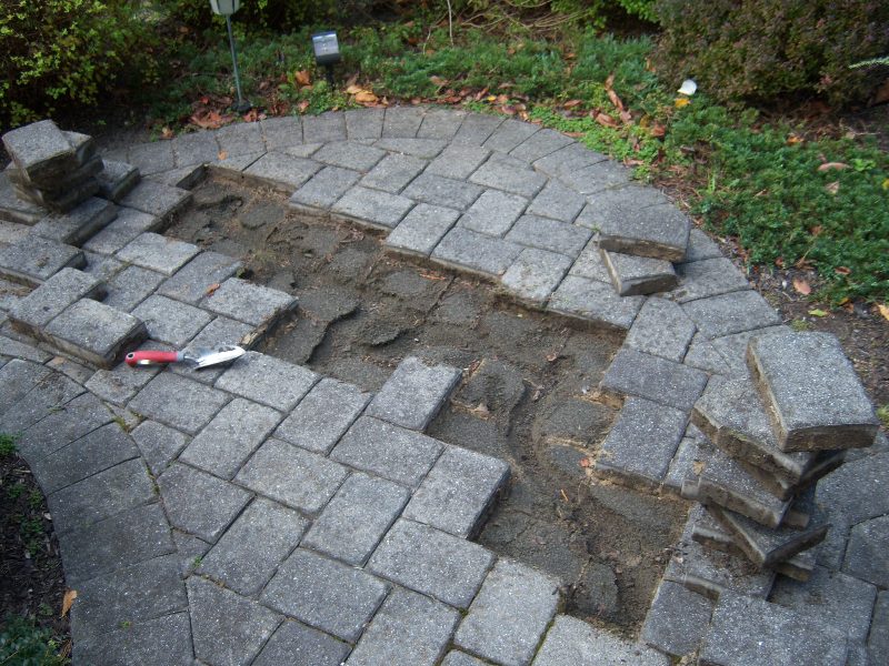 Paver Walkway Burrowing