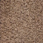 Carpet Tile Texture and Color
