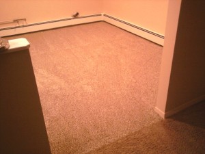 Carpet Tiles Entire Room View