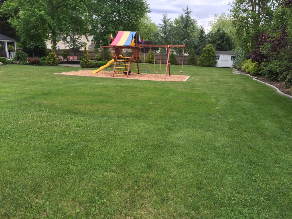 Lawn Seeding 2: Spring with High-Quality Kentucky Bluegrass 