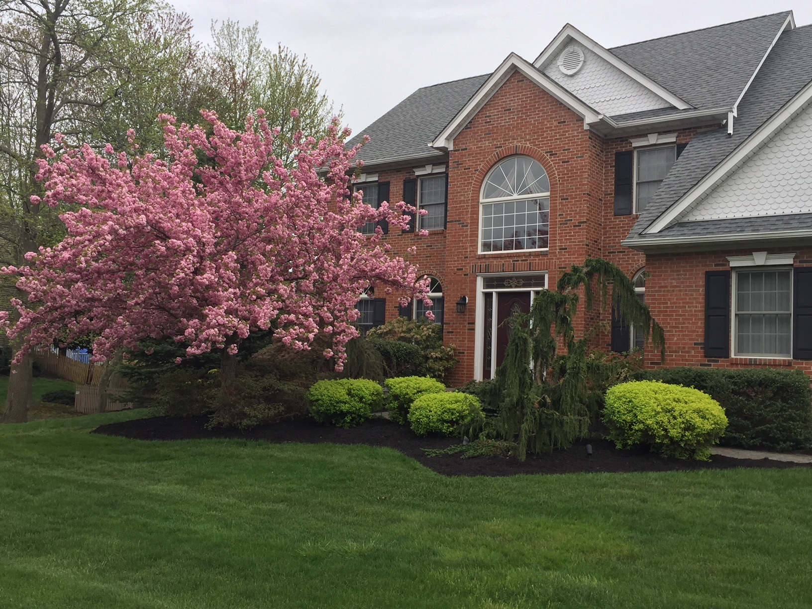 Switching from Mulch to Ground Cover