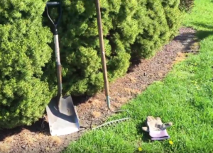 Shovel Metal Rake Workgoves Landscape Bed Tools