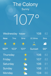 Extreme Heat for Transplanted Trees