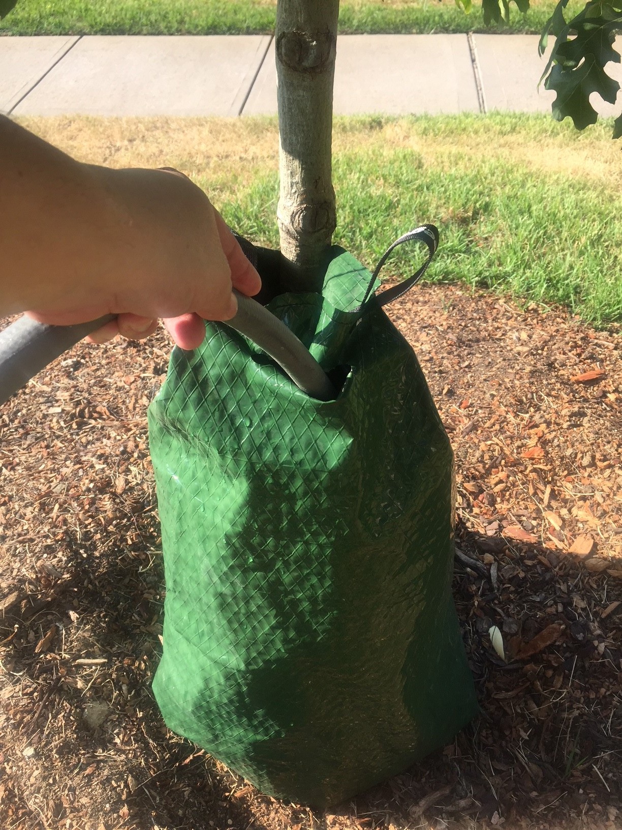 China Customized High Quality Tree Watering Bag Suppliers, Manufacturers -  Factory Direct Wholesale - TWS
