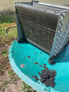 Cleaning the Dirty HVAC Coil Core