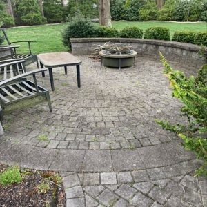Paver Fire Pit Patio Mold Algae Moss Weeds