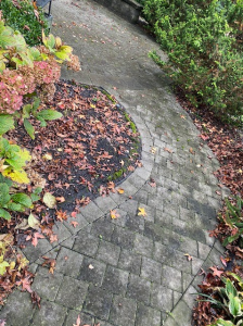 Paver Patio Serpentine Walkway Black Algae Mold