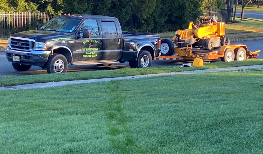 Tree Demolition Equipment